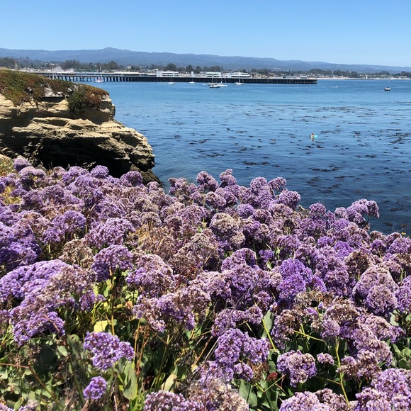 Meet your Posher, Mel - Picture 3 of 4